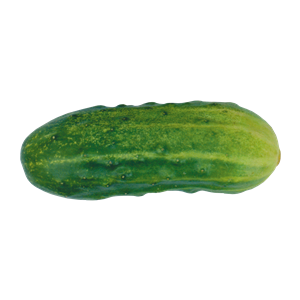 Cucumber PNG-12611